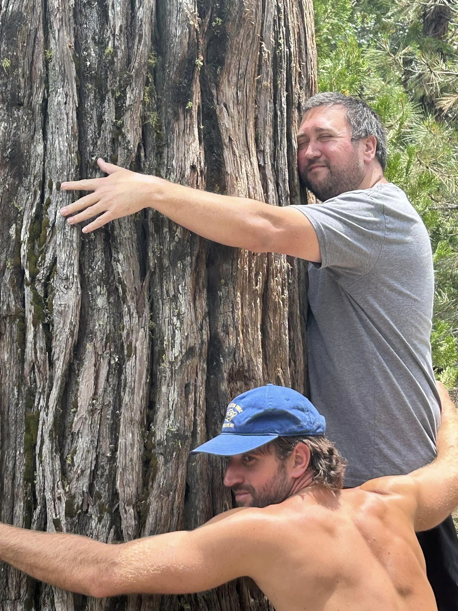 Tree Huggers.jpg