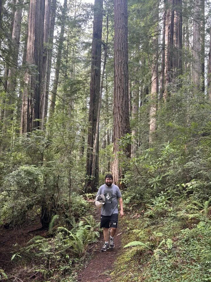 Redwoods and I.jpg