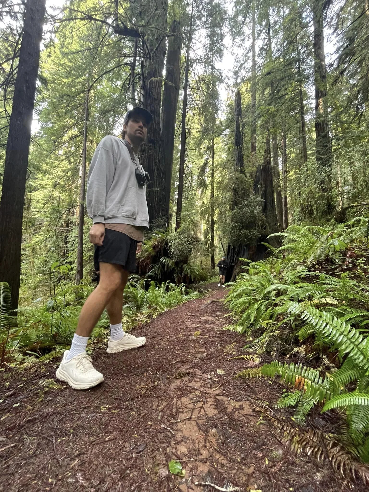 Chad in Redwoods.jpg