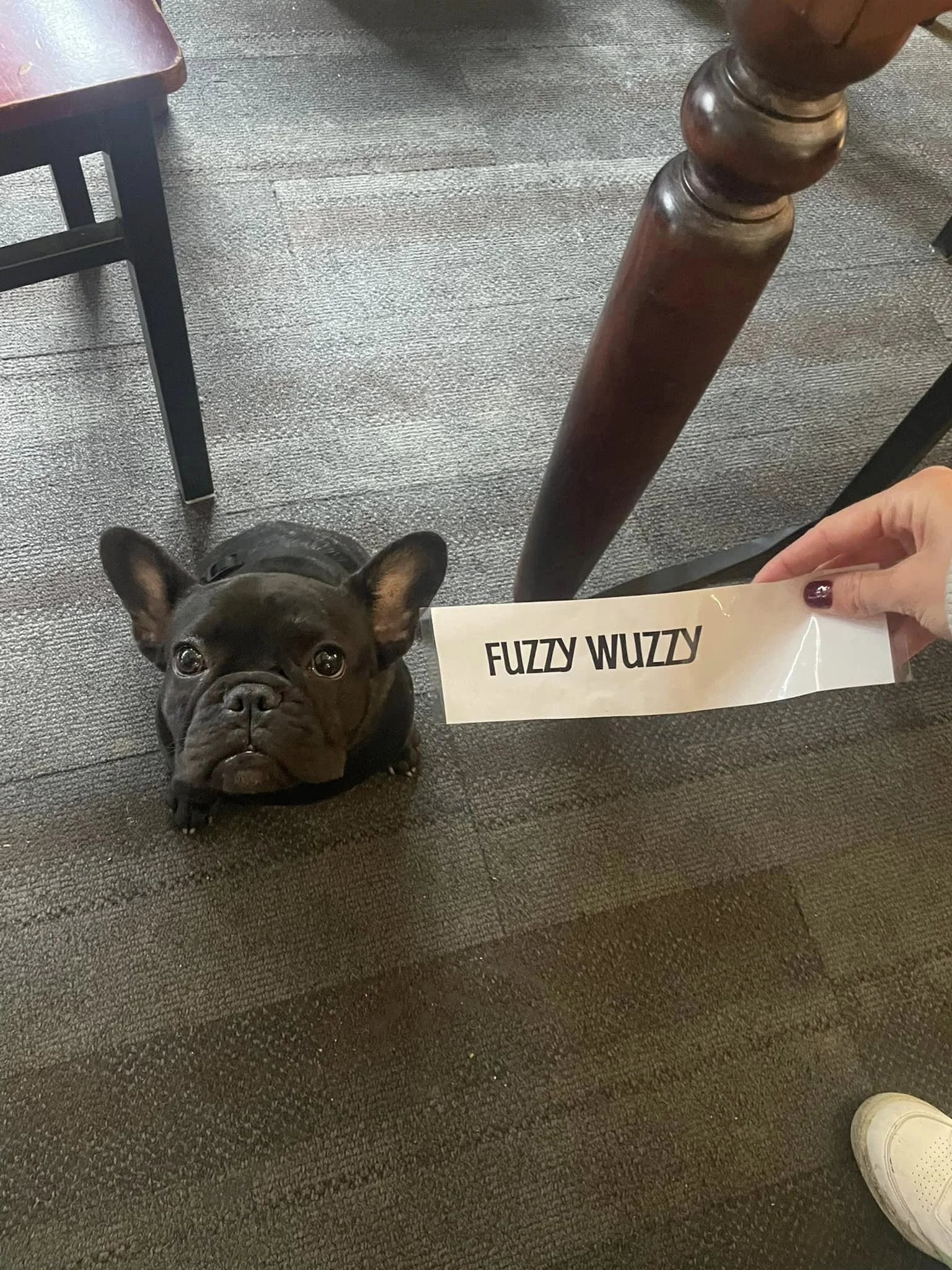 Fuzzzy Wuzzy Moon.jpg