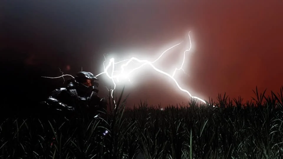 Run through the Jungle.jpg