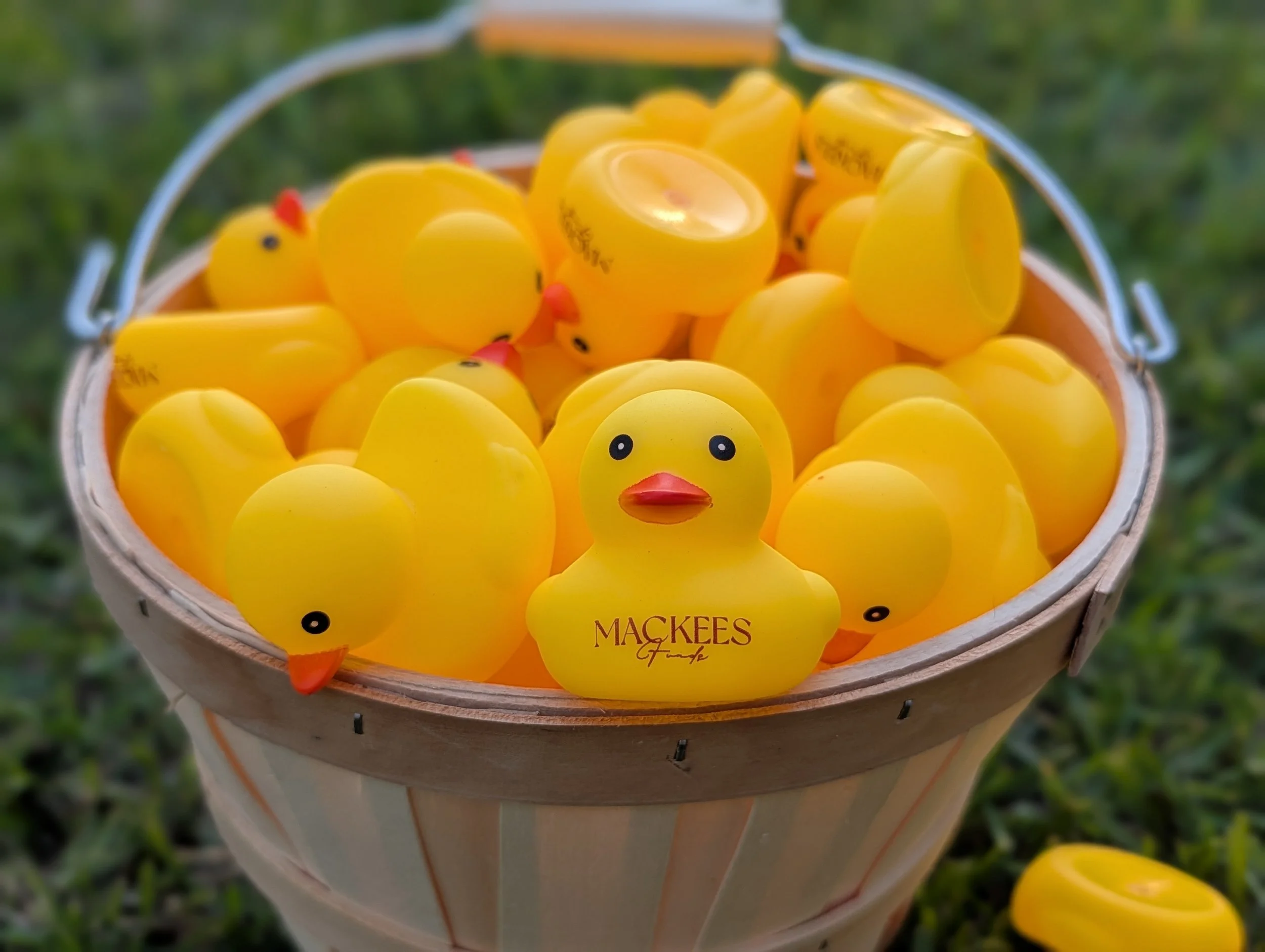 Racer Ducks
