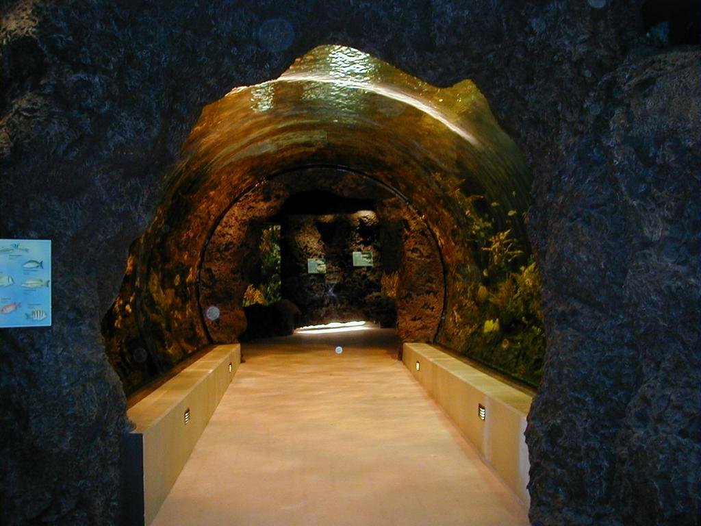 Rot 16_1024x768.jpg