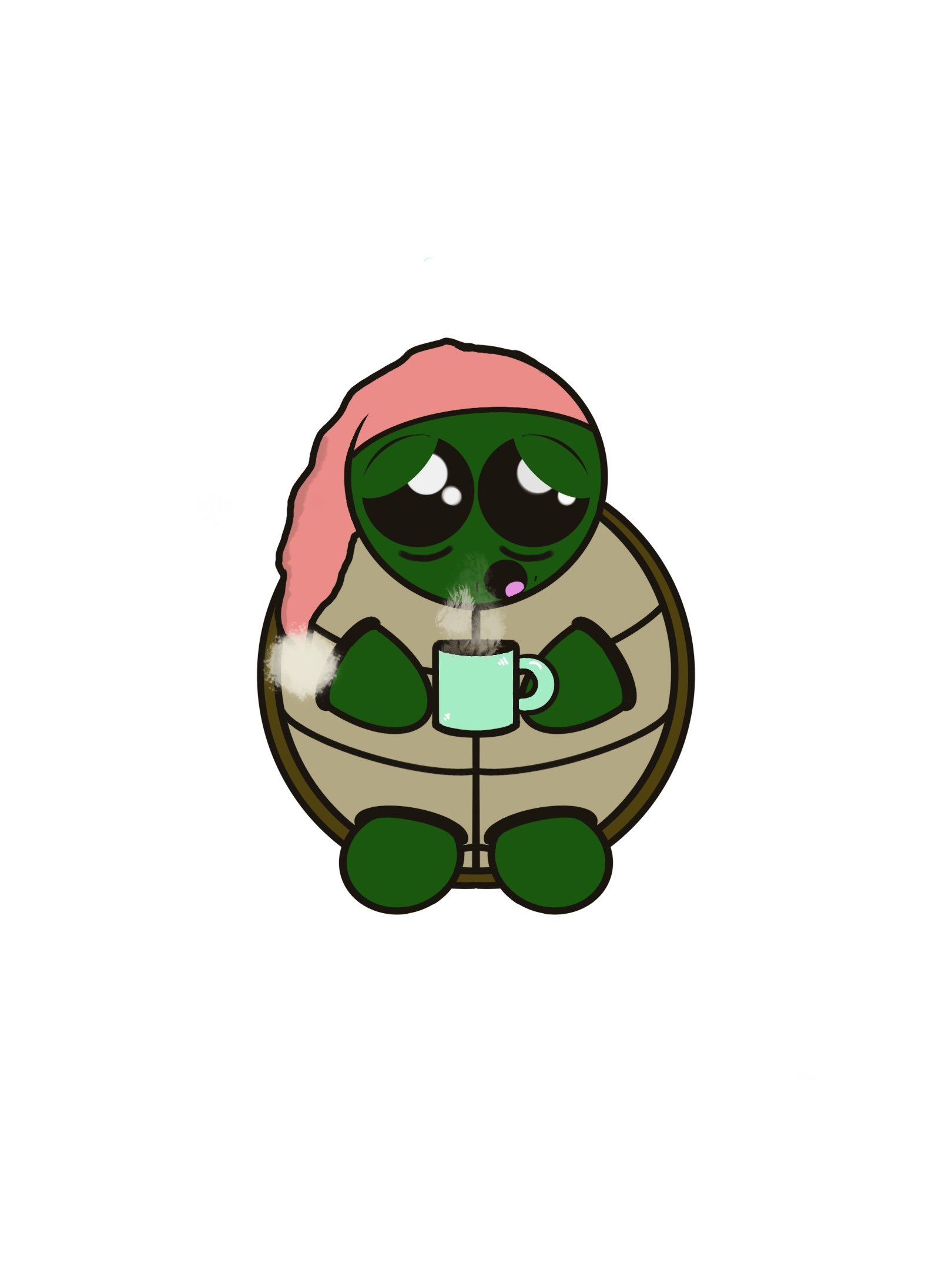 Sleepy_Turt.jpg