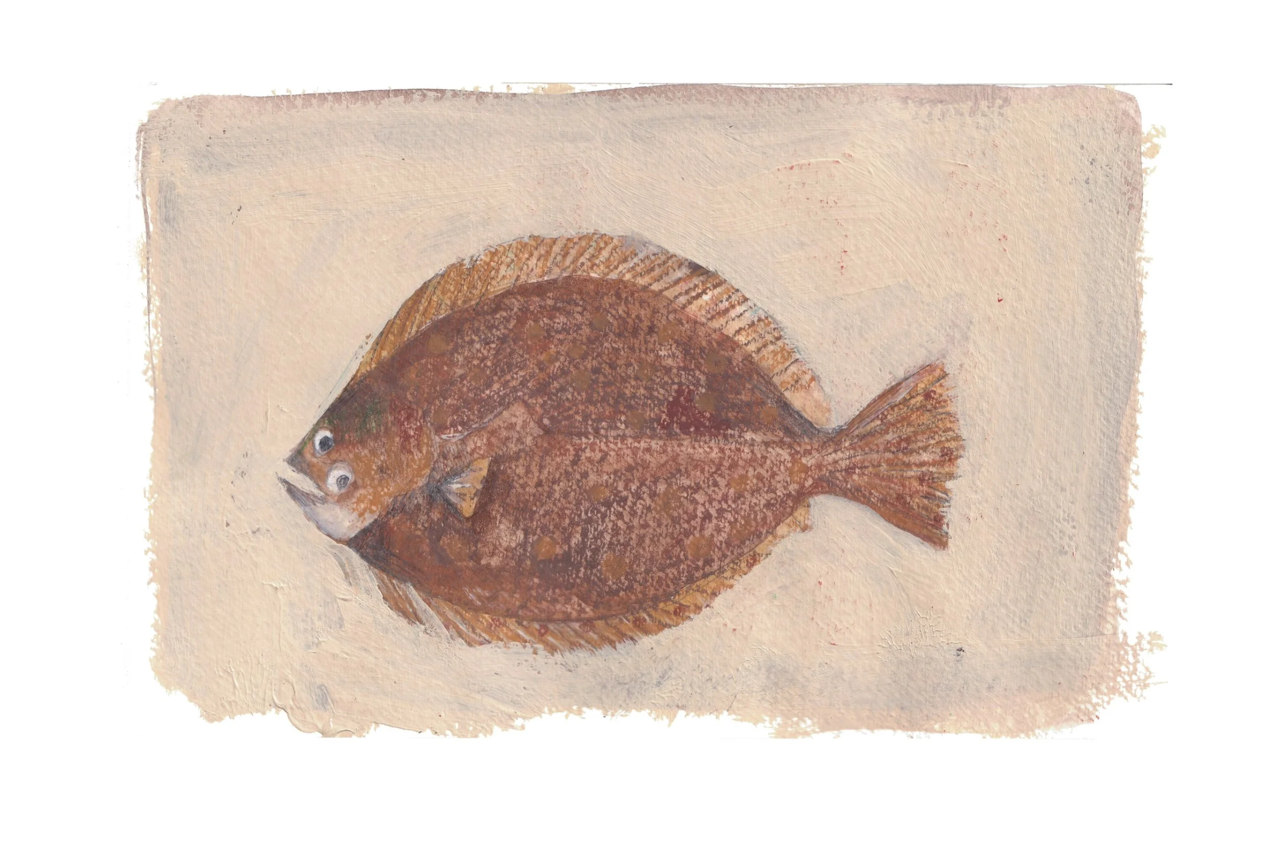 IMG_1512.png