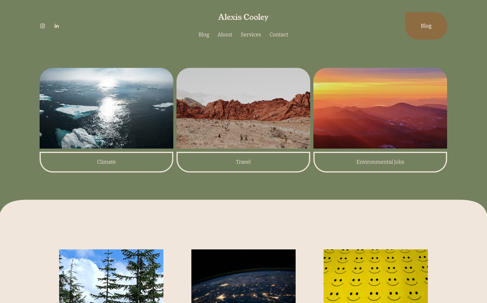 Alexis Cooley Personal Blog