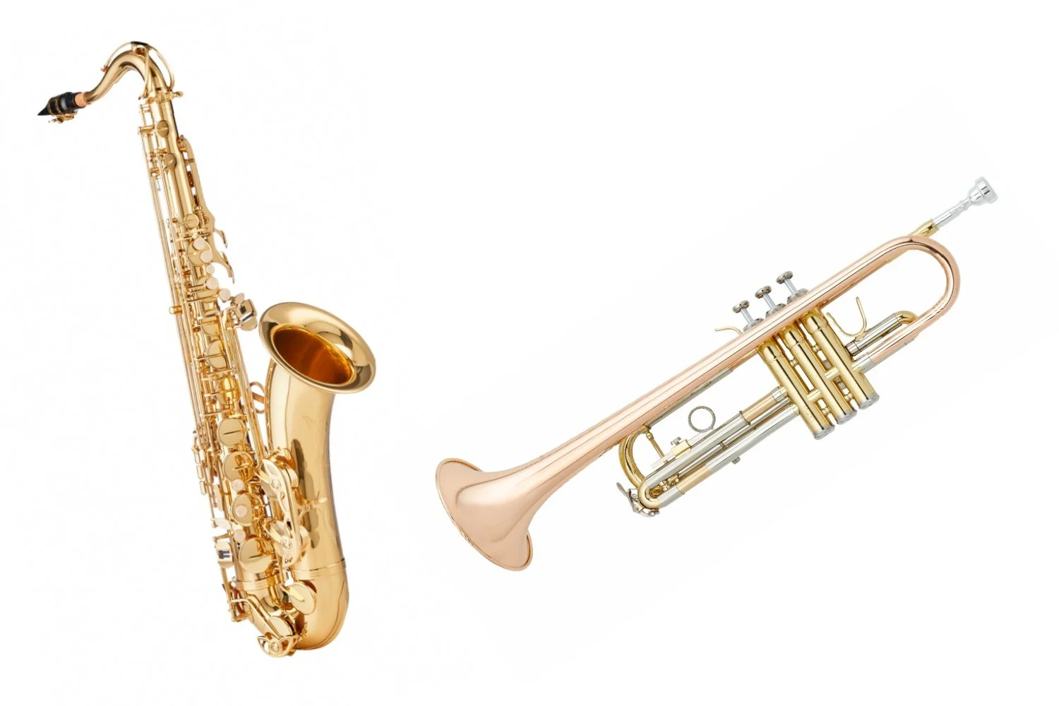 AUGUST 9TH 2026 - Horn player