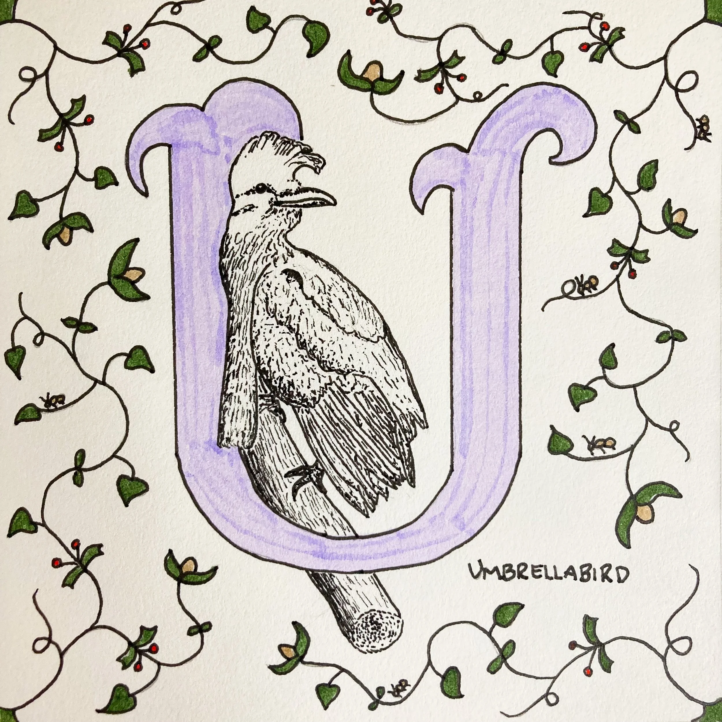 Alphabet - U.jpg