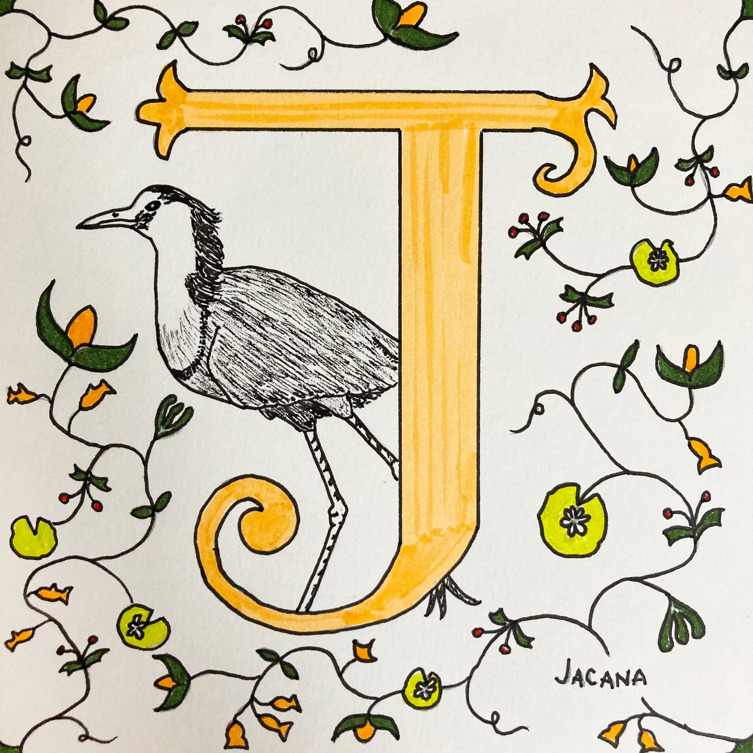 Alphabet - J.jpg