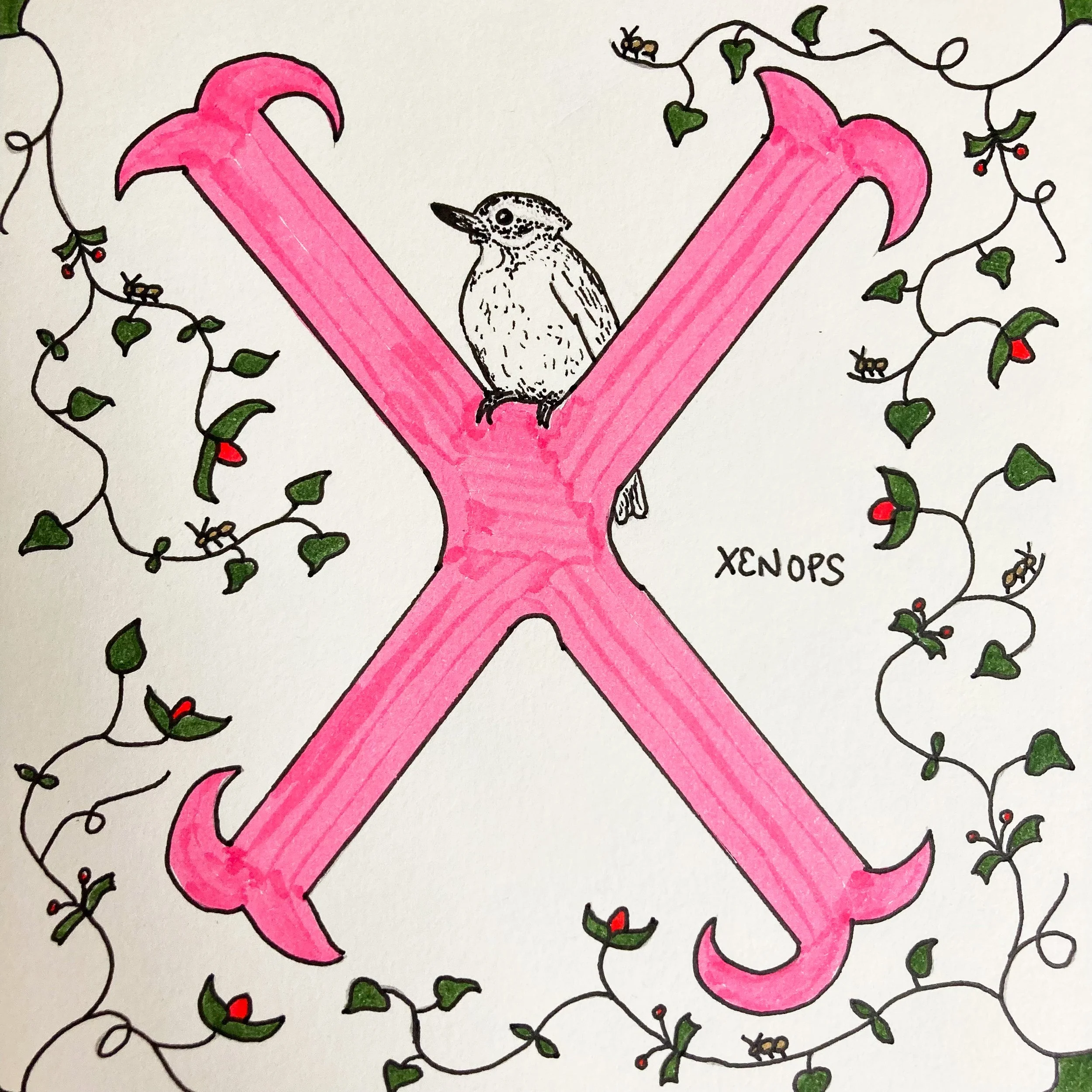 Alphabet - X.jpg