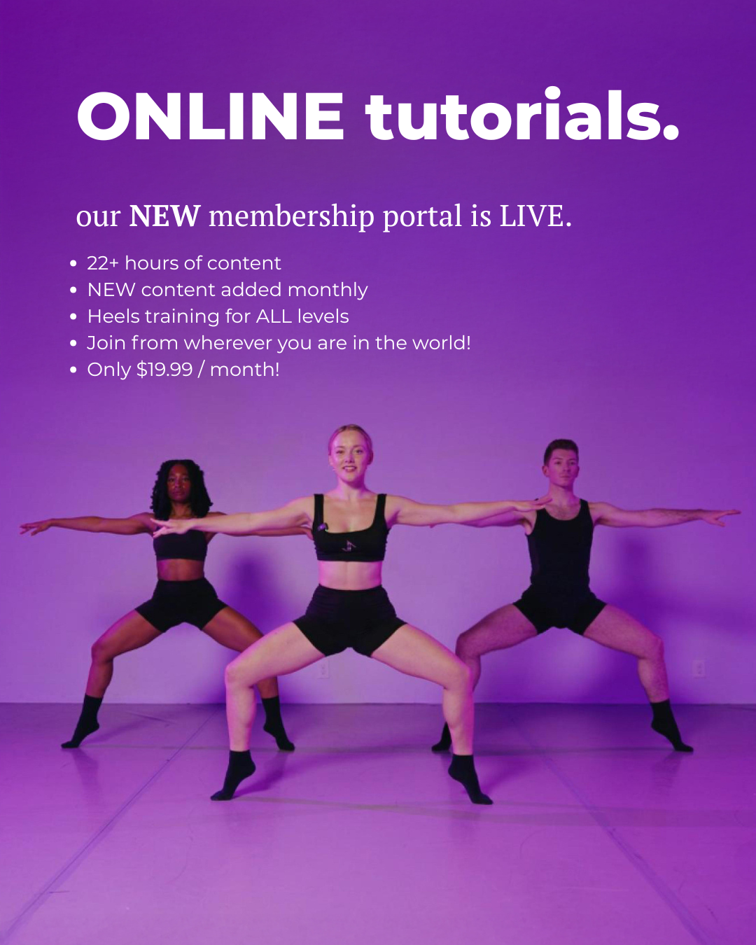 Merch & Tutorial Graphic_Web home page.png