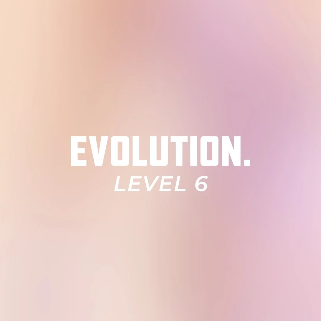 ZTHEORY Evolution Heels Program