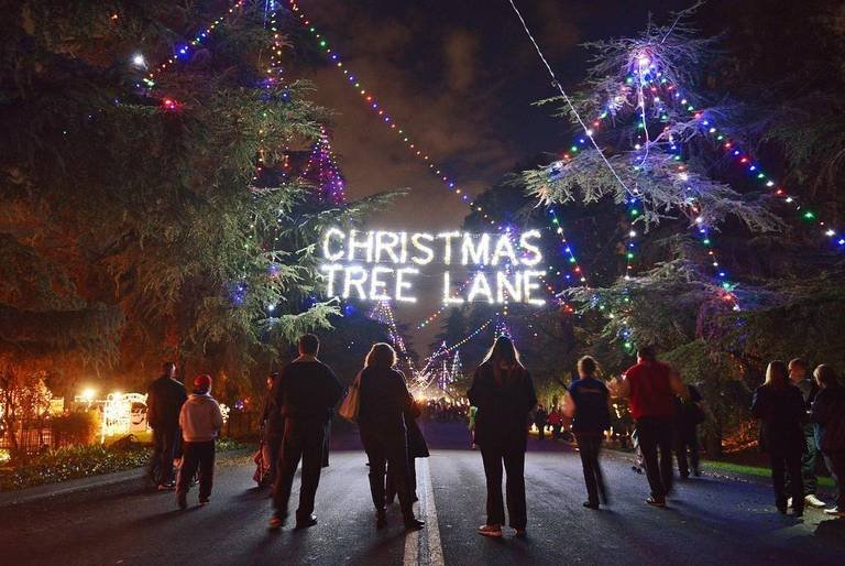 CEK-christmastreelane_1203_01.jpg