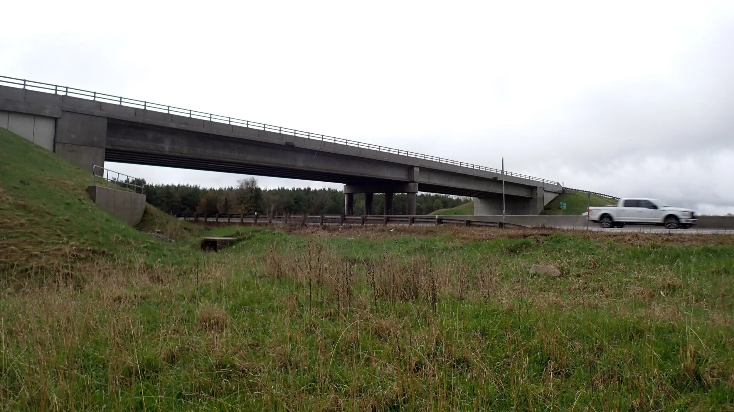 Photo of a road and overpass (Copy)