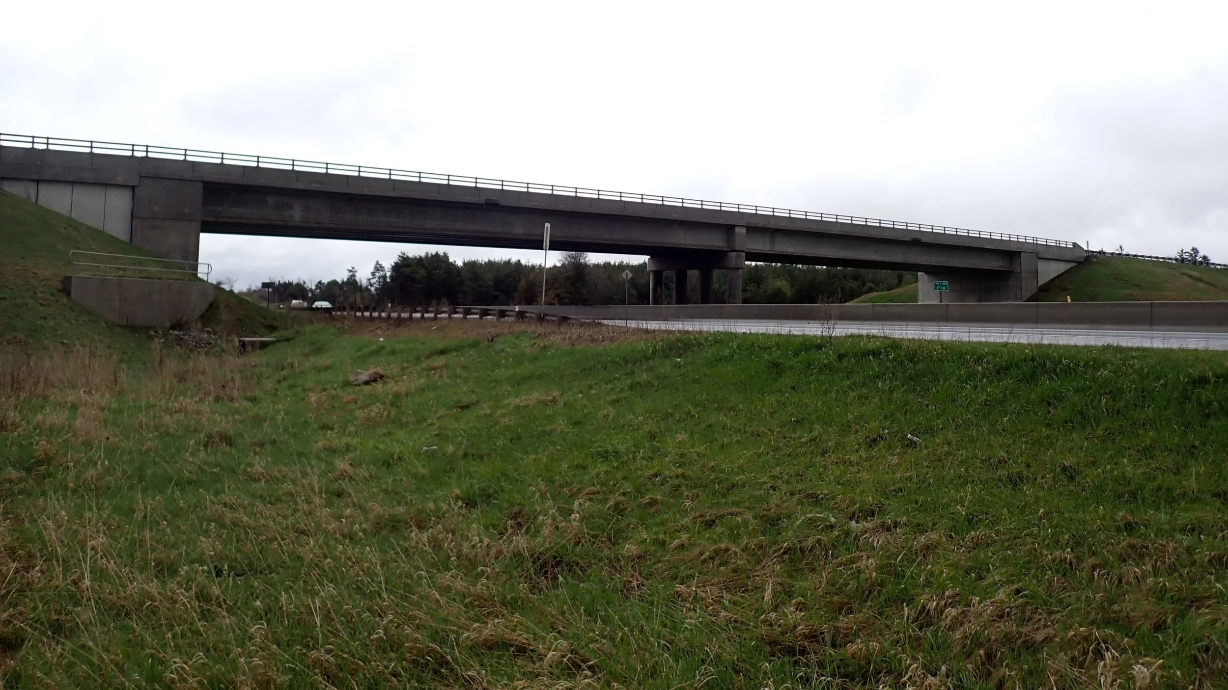 Photo of a road and overpass (Copy)