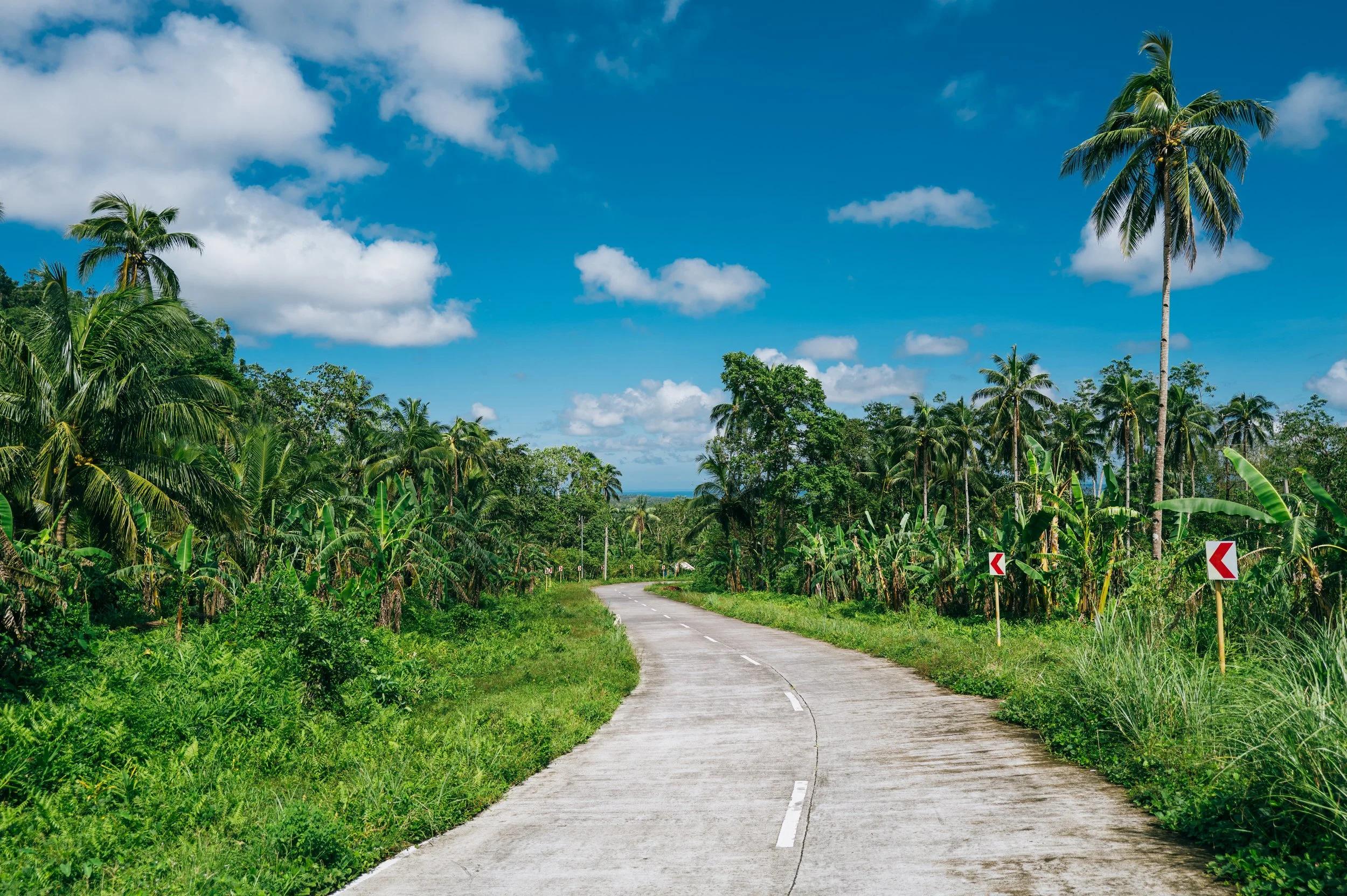 🇵🇭 Jaro, Leyte, Philippines