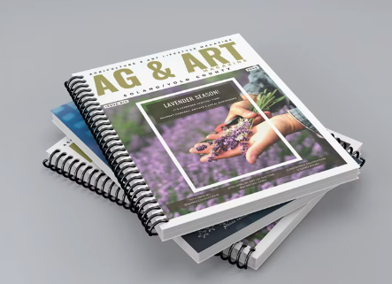 Screenshot 2024-05-03 at 4.26.26 PM.png