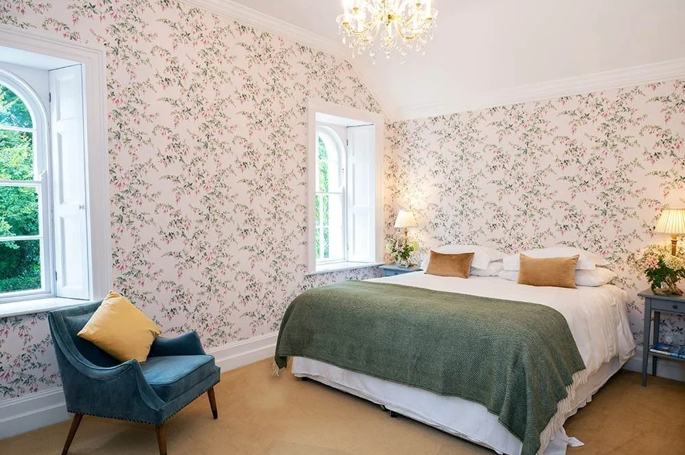 fuchsia-room-1000x665_c.jpg