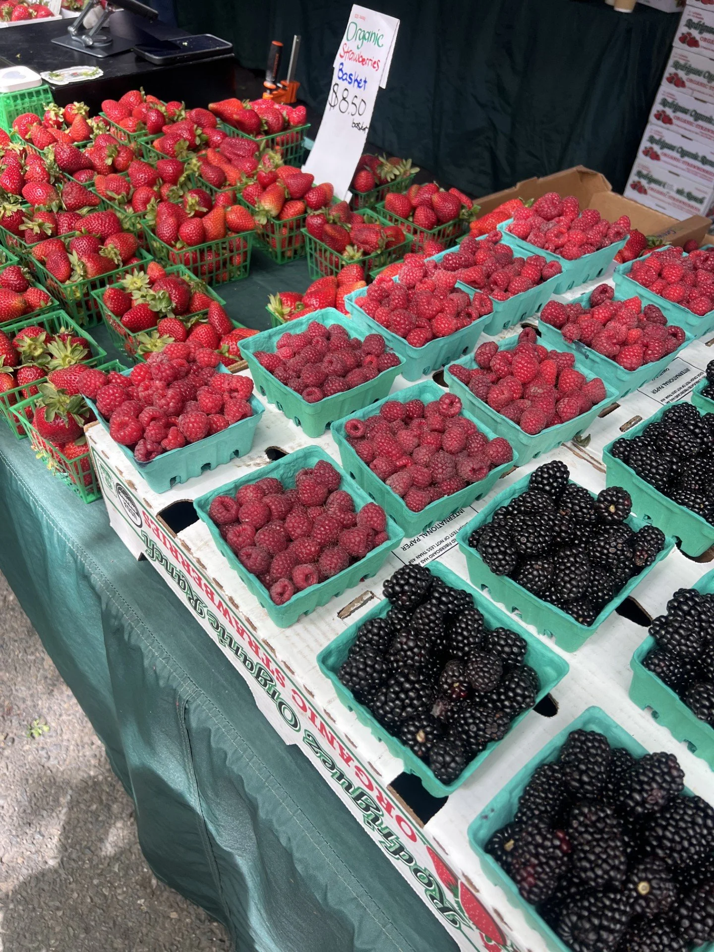 Sun, Plums, and Farmer's Market Finds