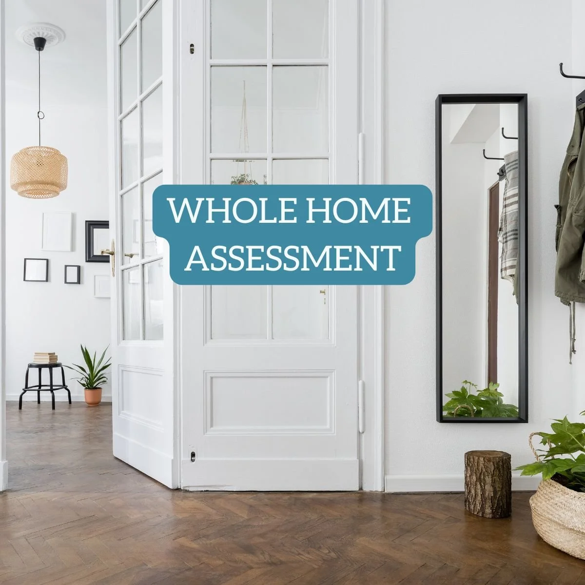 Whole House.jpg
