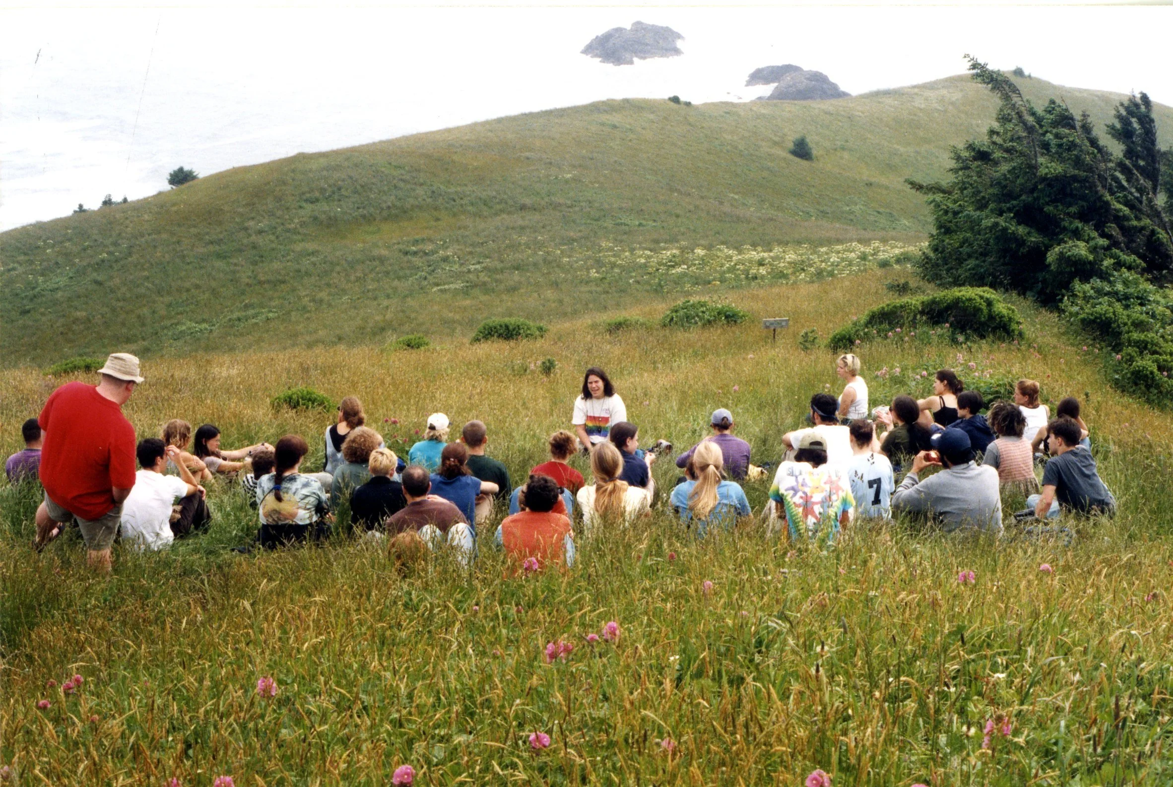 Afternoon on a hillside at Camp Westwind