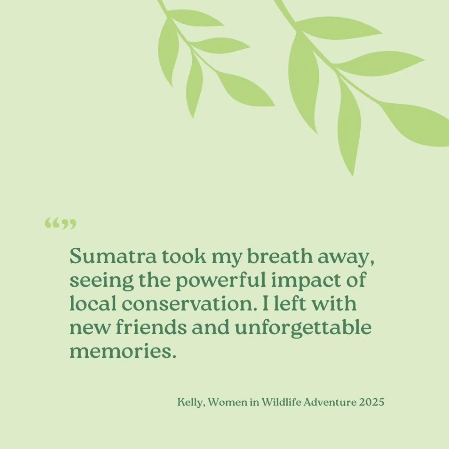 Field trips and bucket list conservation focused adventures are waiting for you in  2026, and word must be getting around because they're booking up! Join us to participate in local conservation and community programs in North Sumatra, and travel wit