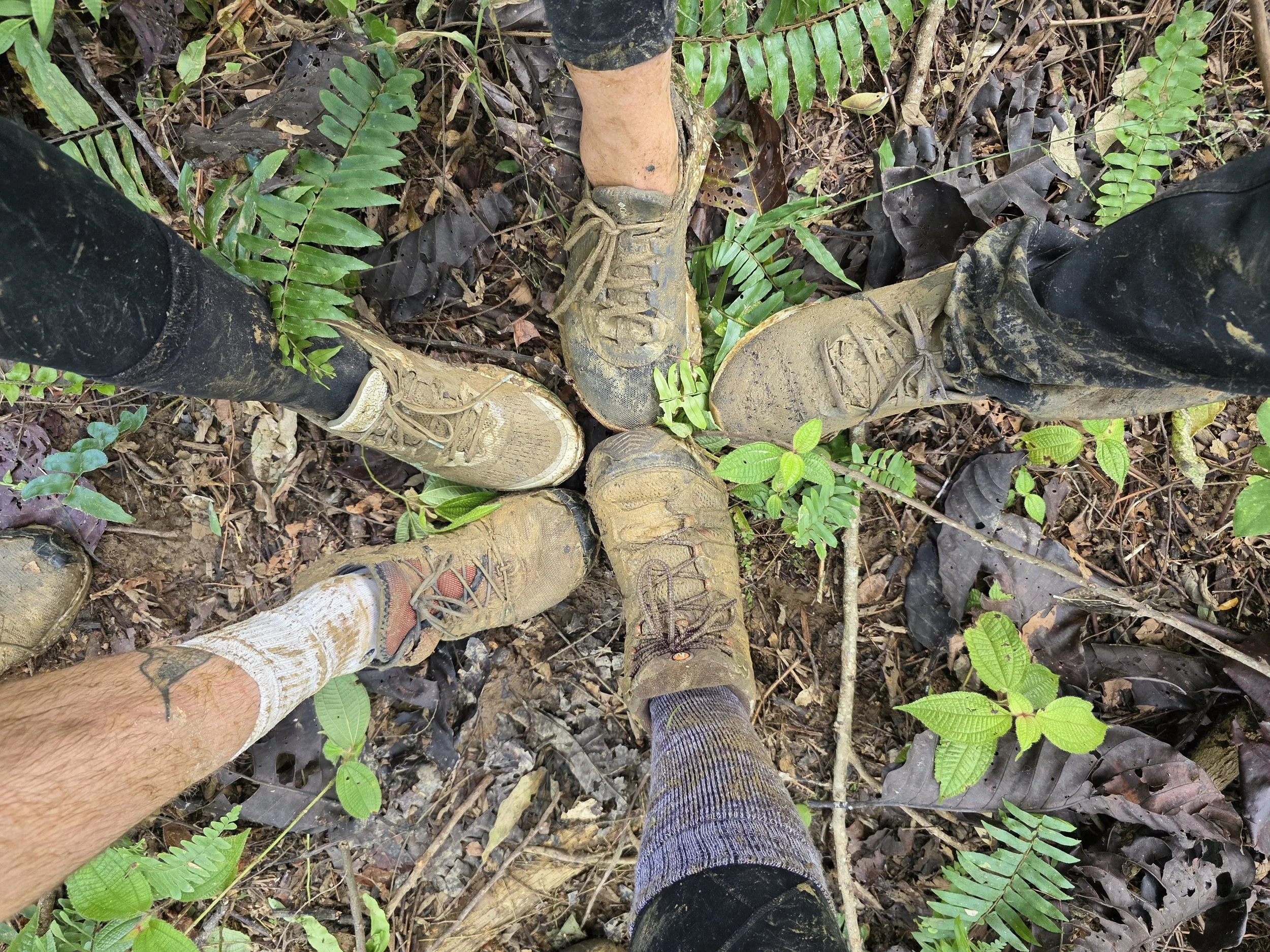 Confetti, Mud, and Orangutans: My Unforgettable Sumatran Adventure