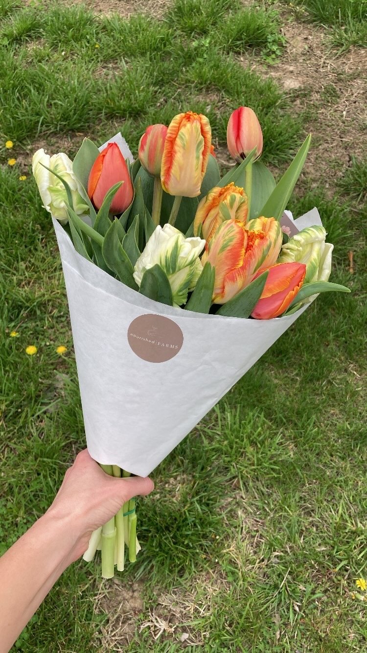 2026 Tulip Subscription