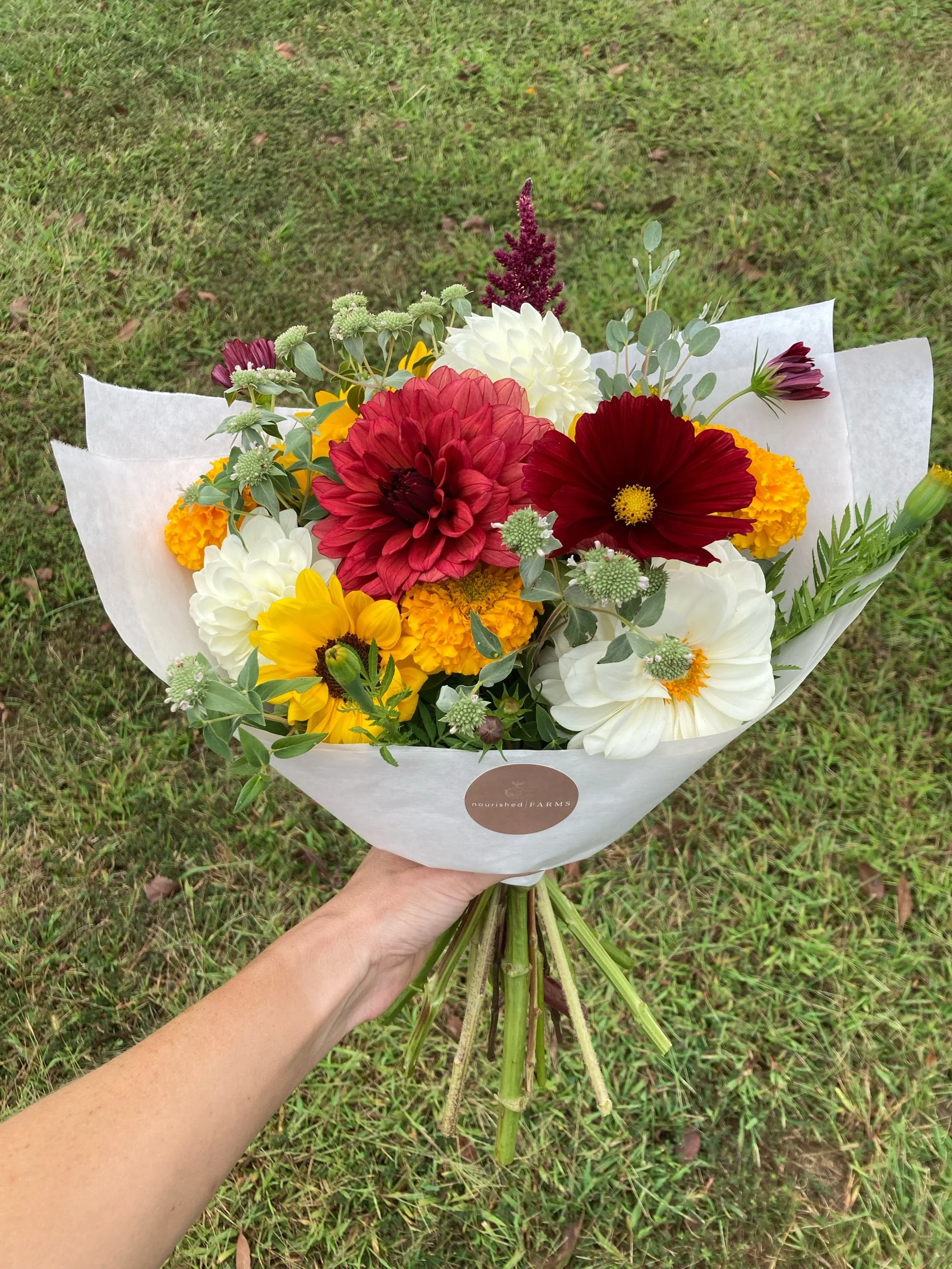 2026 Fall Subscription