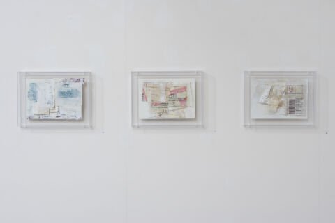 Anna Caione, Ingresso 2008