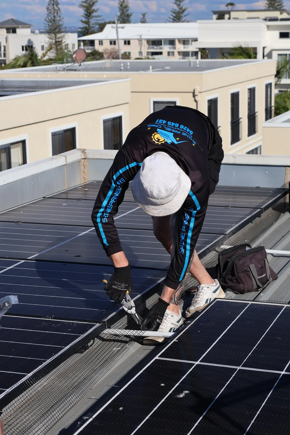 Bird Proofing Solar Panels Brisbane – Shine Panel Care