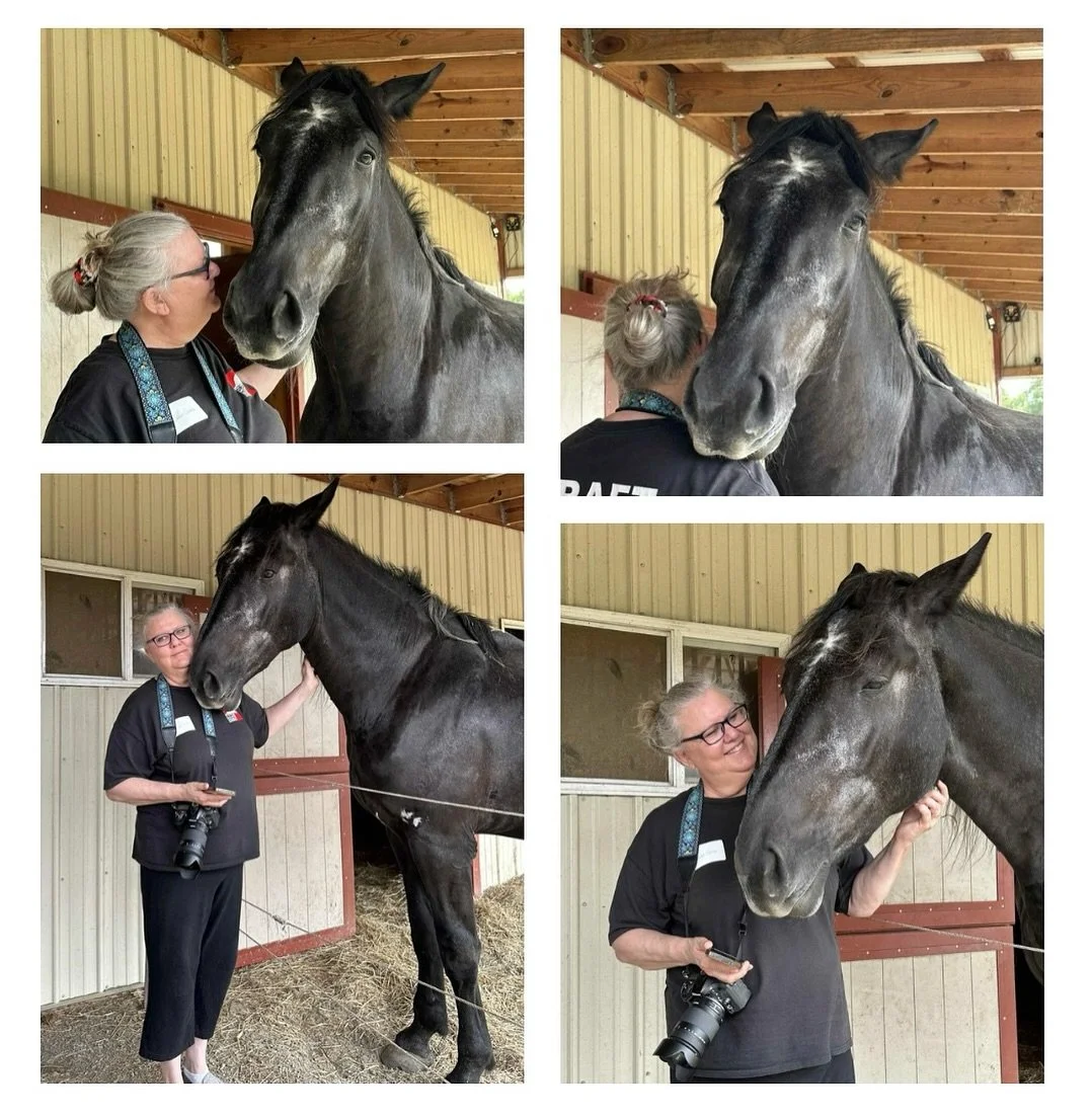It is so kind and thoughtful when people make sure I have pictures of me with the horses, especially since I&rsquo;m usually behind the camera!  Thank you, Tonya!

I love my connection with Max. This big lug is a total sweetheart and love every minut