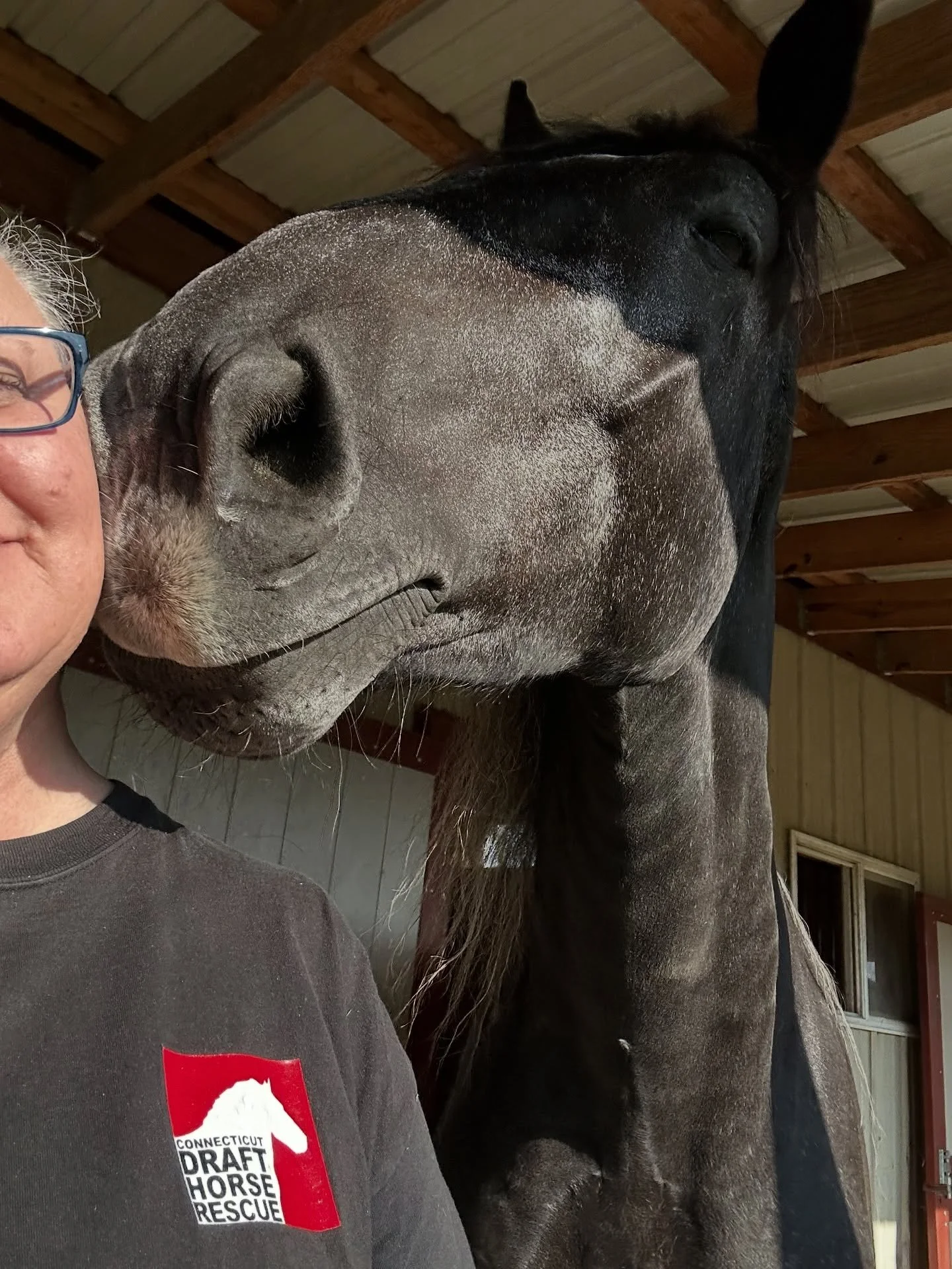 Equine aromatherapy: fresh hay, warm coats, and a soft sigh on your cheek. 🐴😙💋