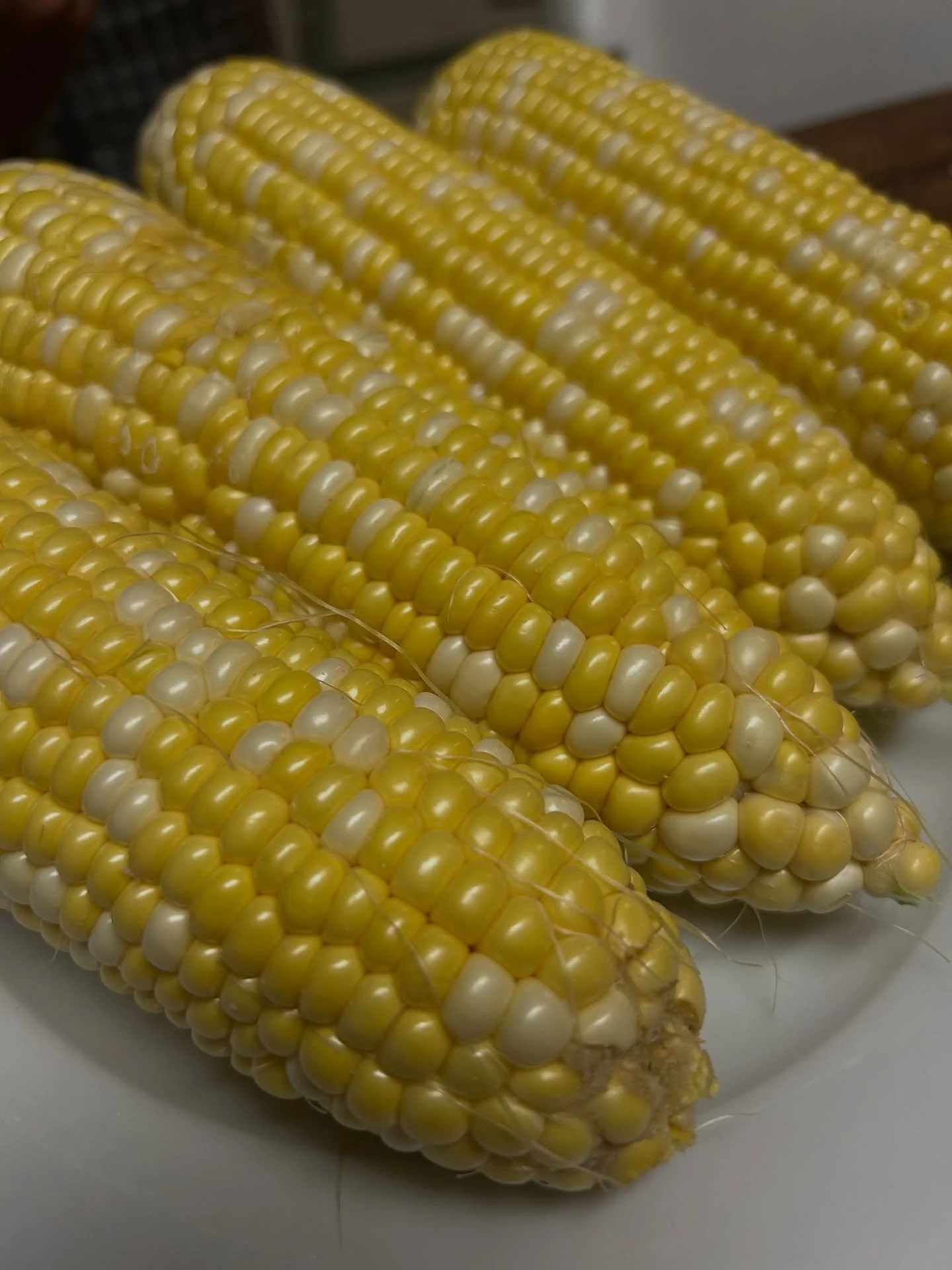 Blessed with farm fresh corn and tomatoes tonight for dinner! As delicious as they were beautiful!

@grote2862 

🌽🍅❤️

#SummerOnAPlate #FreshFromTheFarm #EatLocal