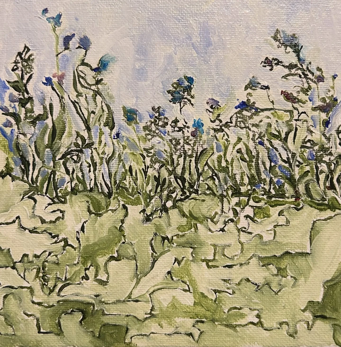 &ldquo;rooted/growing/bloom&rdquo;
A little 6x6 acrylic painting
🤩