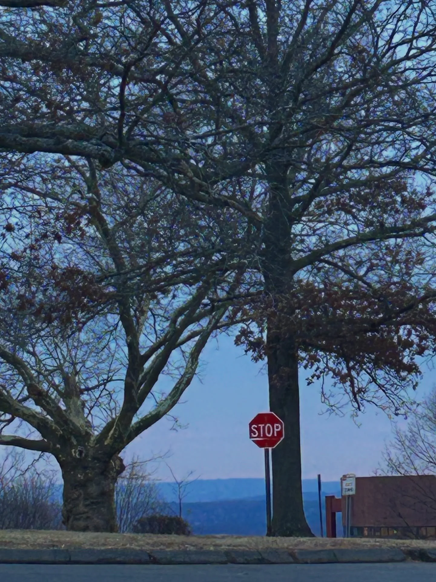 Yesterday&lsquo;s view - Walnut Hill Park