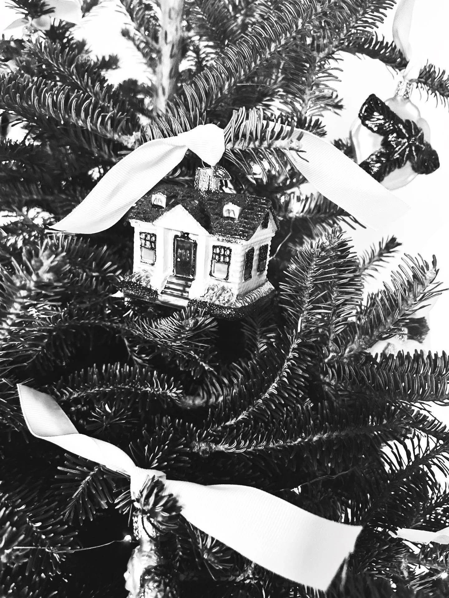 Wishing you joy, love, &amp; happiness for Christmas and this wonderful holiday season!

🎄🎅🏻✨❤️