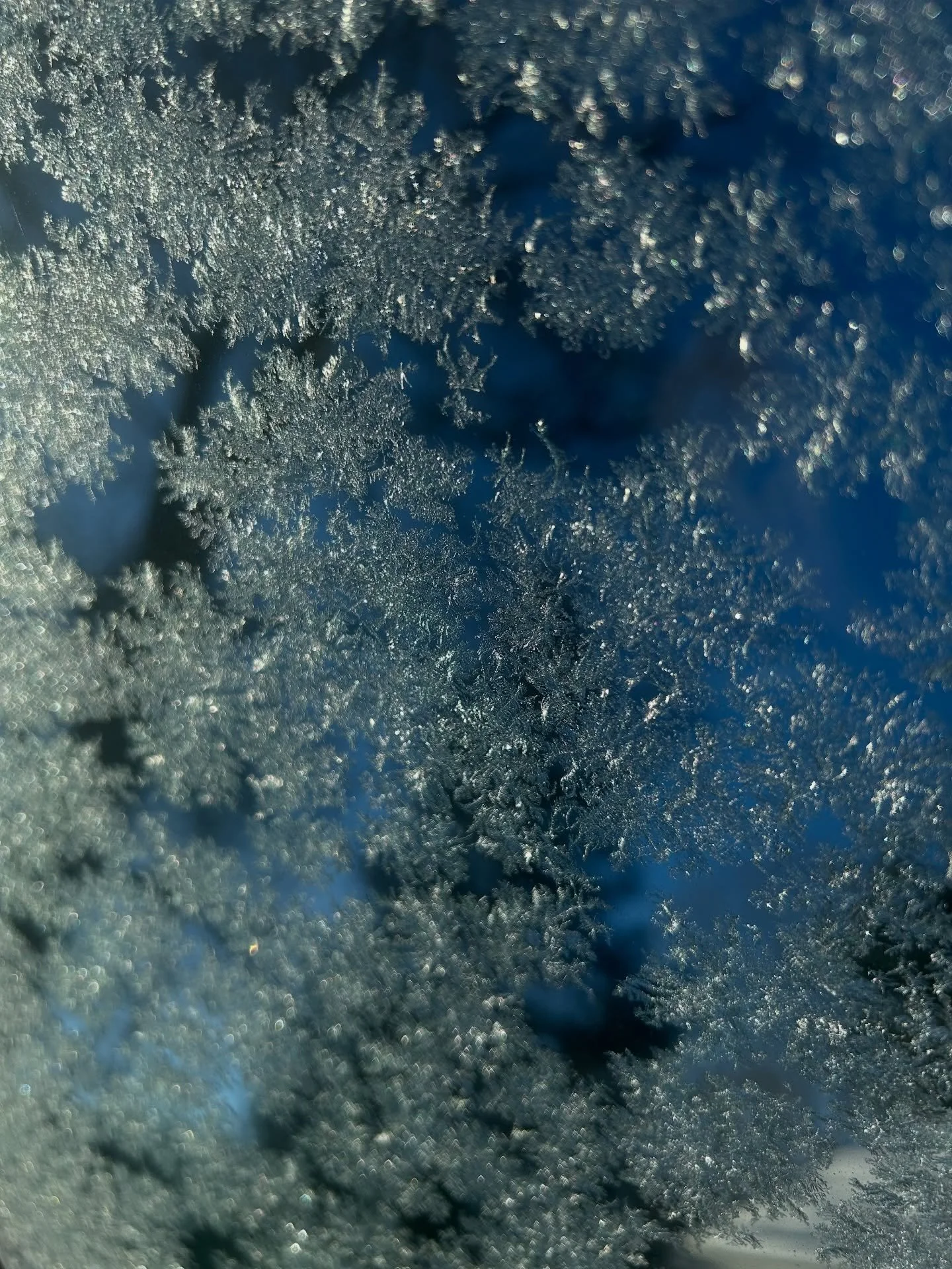 A frosty start to the day! ❄️