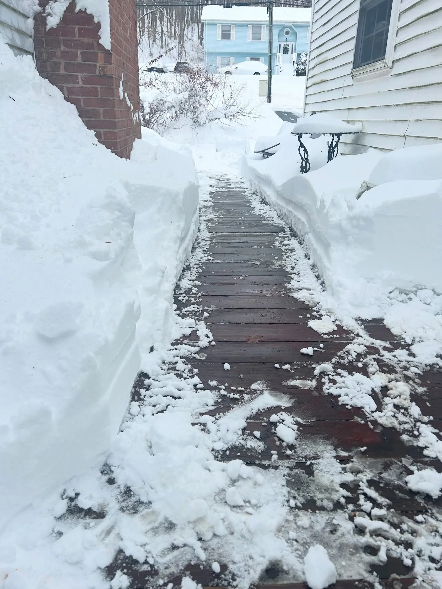 What a doozy!  Depending on the snow drifts, we got between 15&rdquo; and 17&rdquo; of ❄️

And just started back up again 😳