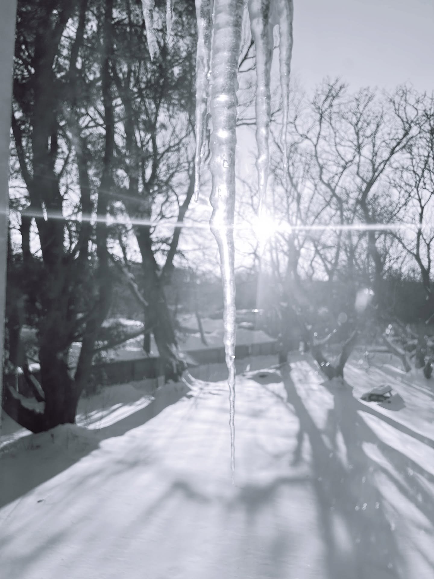 Sunbeam thru the icicles. 

#icicles #sunbeam #januaryinconnecticut