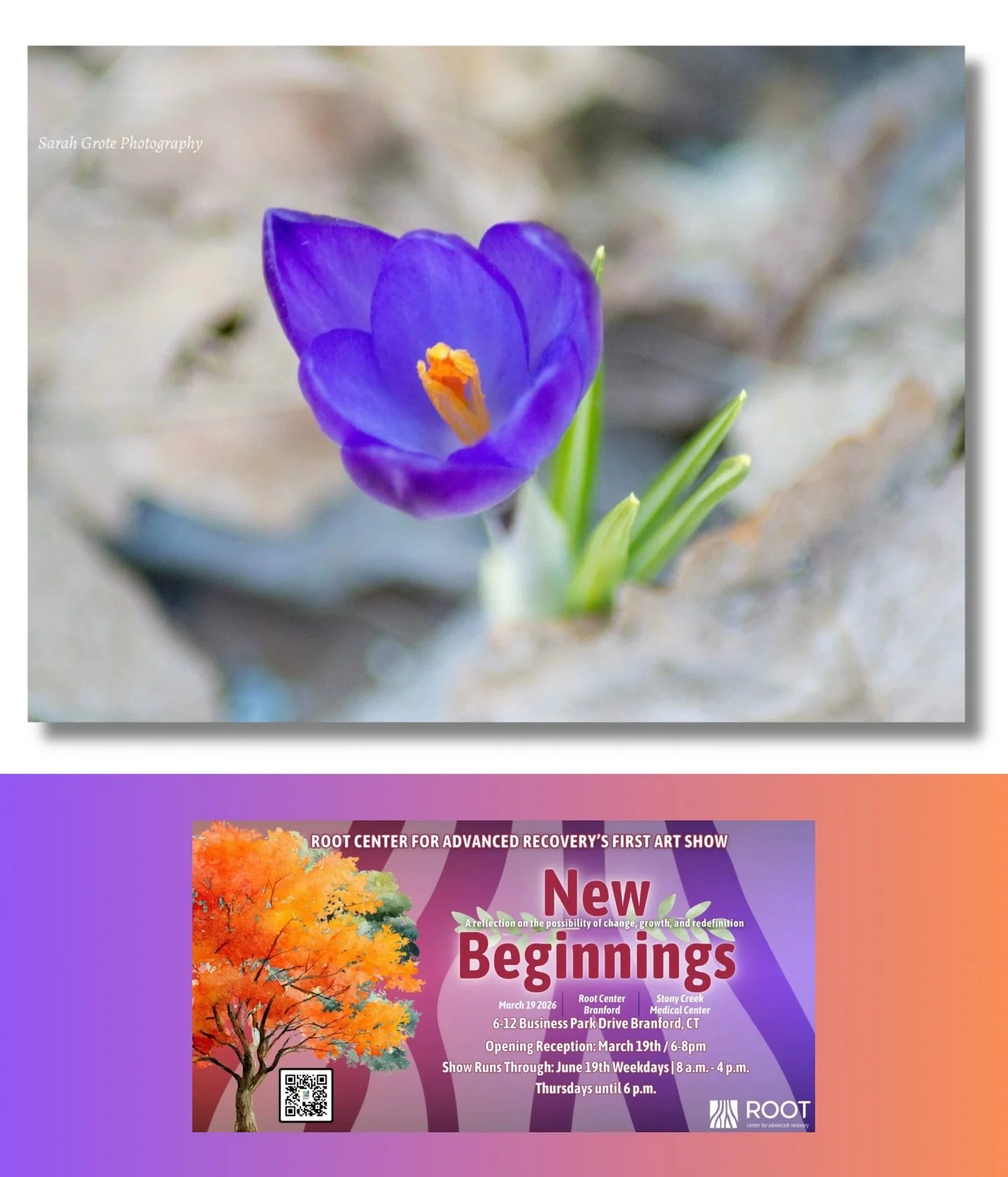 Happy to share my photo &ldquo;First Crocus&rdquo; was selected for the Root Center&rsquo;s &ldquo;New Beginnings&rdquo; art exhibition celebrating recovery, hope and renewal on the eve of the Vernal Equinox.

Special thanks to juror @abranniello for