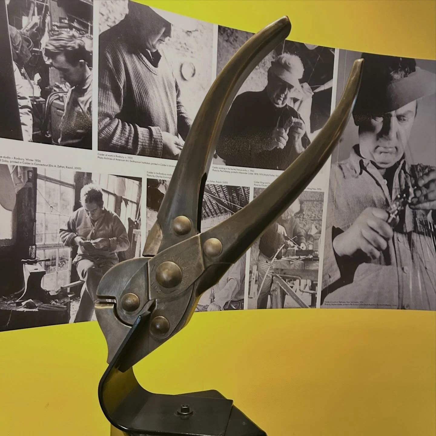 Always something curious and intriguing at the Mattatuck!