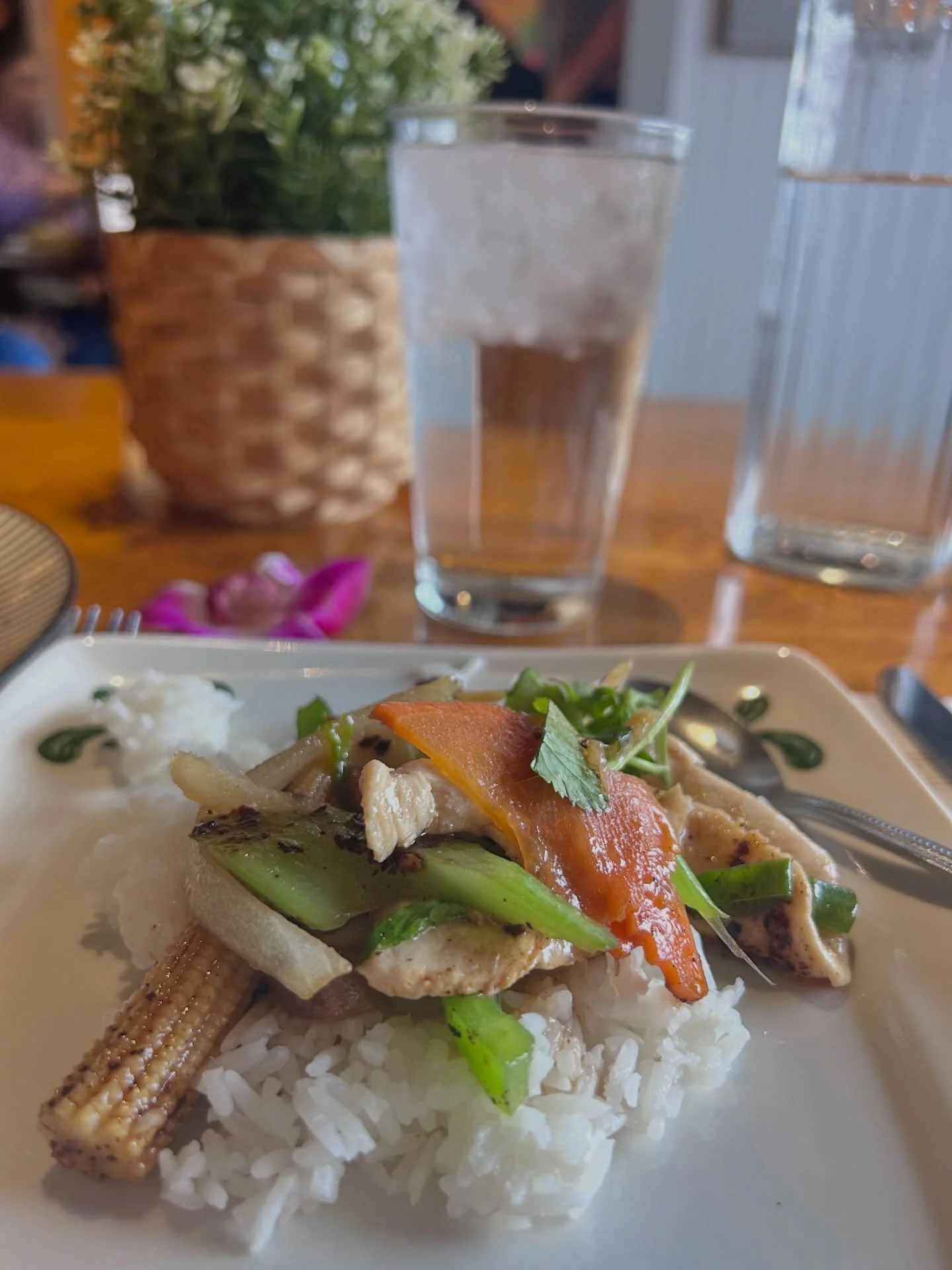 Ginger chicken for lunch 🫚
Spice level: 3/5 🌶️🌶️🌶️
Deliciousness level: 10/10 🌟