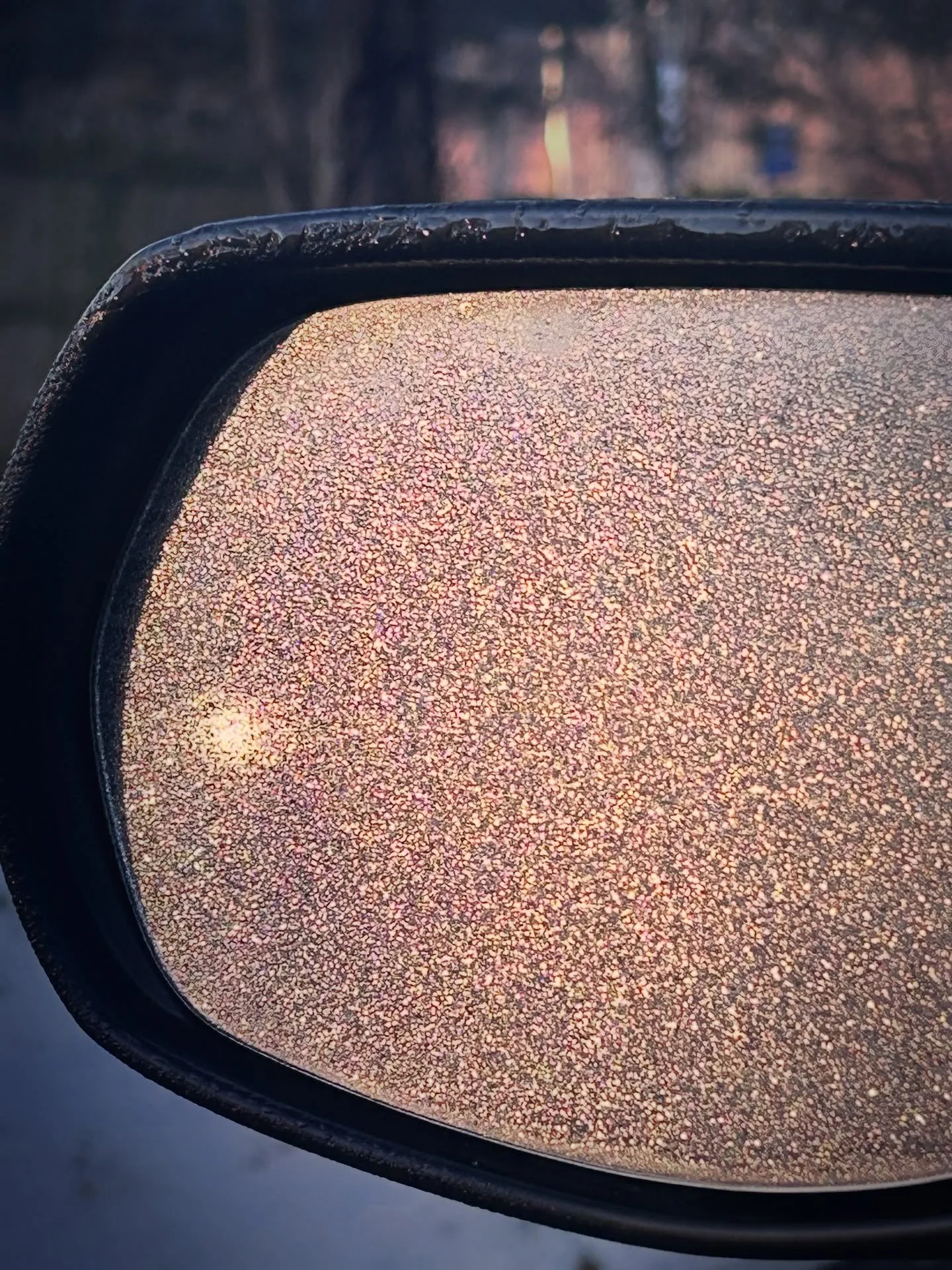 Monday&rsquo;s glittery frost