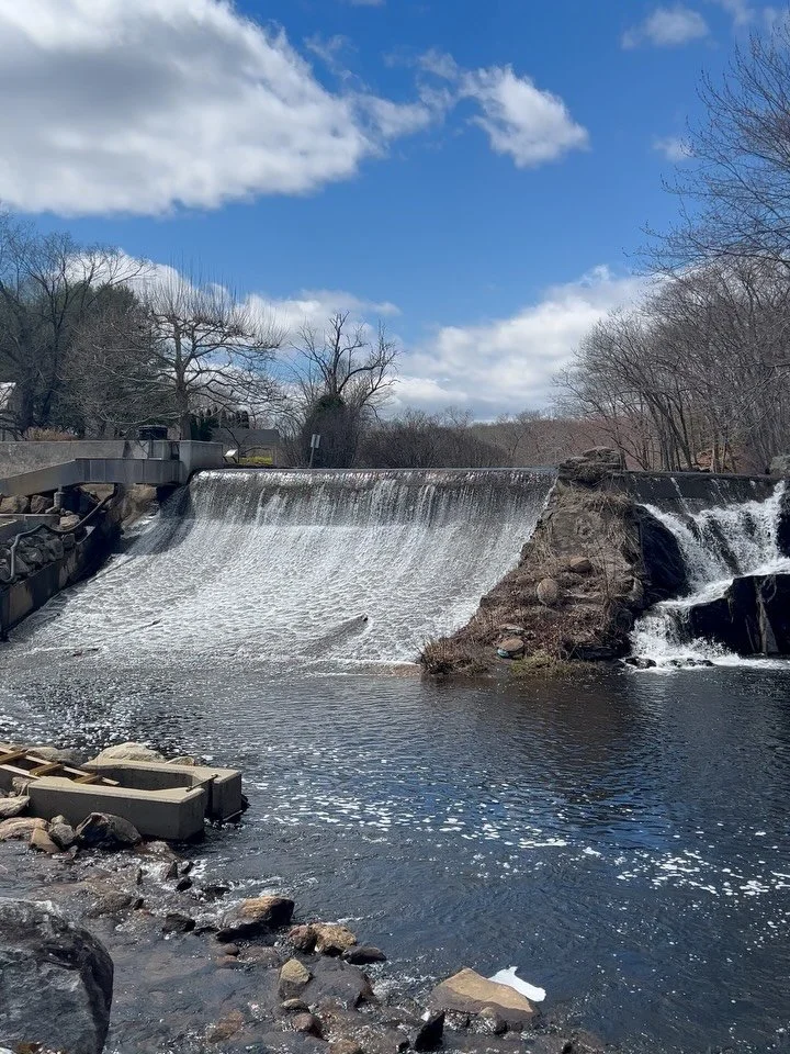 A beautiful day in Centerbrook today! 🤩