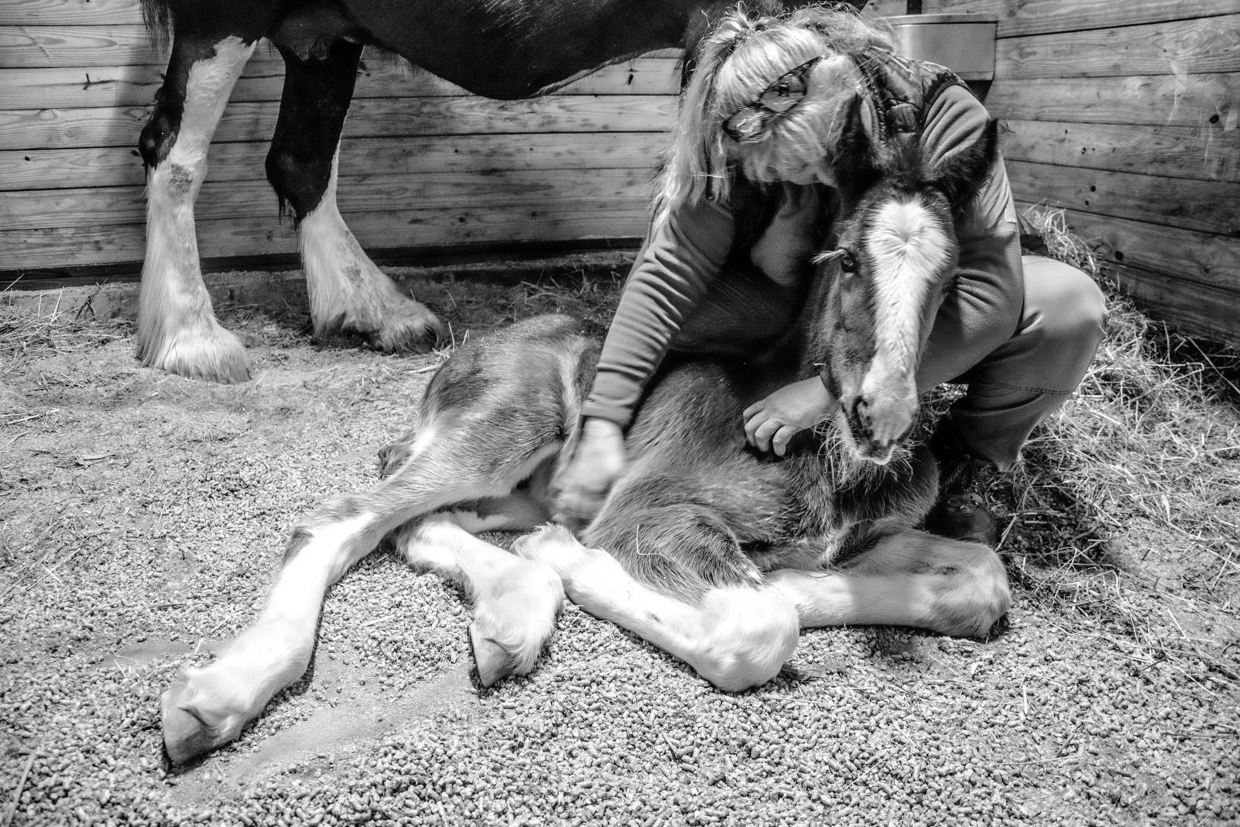 Grote_Sarah_Baby's Breath.jpg
