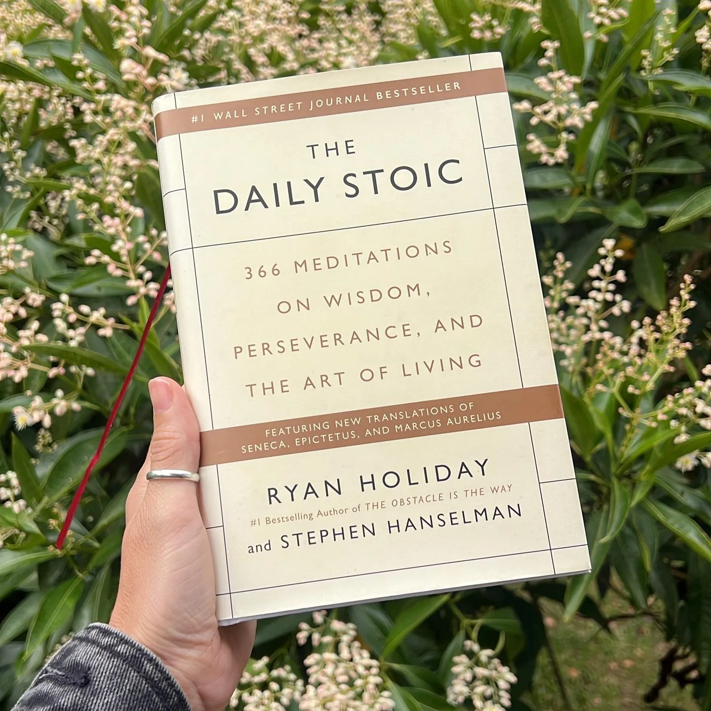 No tiene que haber luna llena o un solsticio para ritualizar los d&iacute;as, todos los d&iacute;as son un regalo del universo. THE DAILY STOIC: 21 de enero ✨🙏🏻🪷