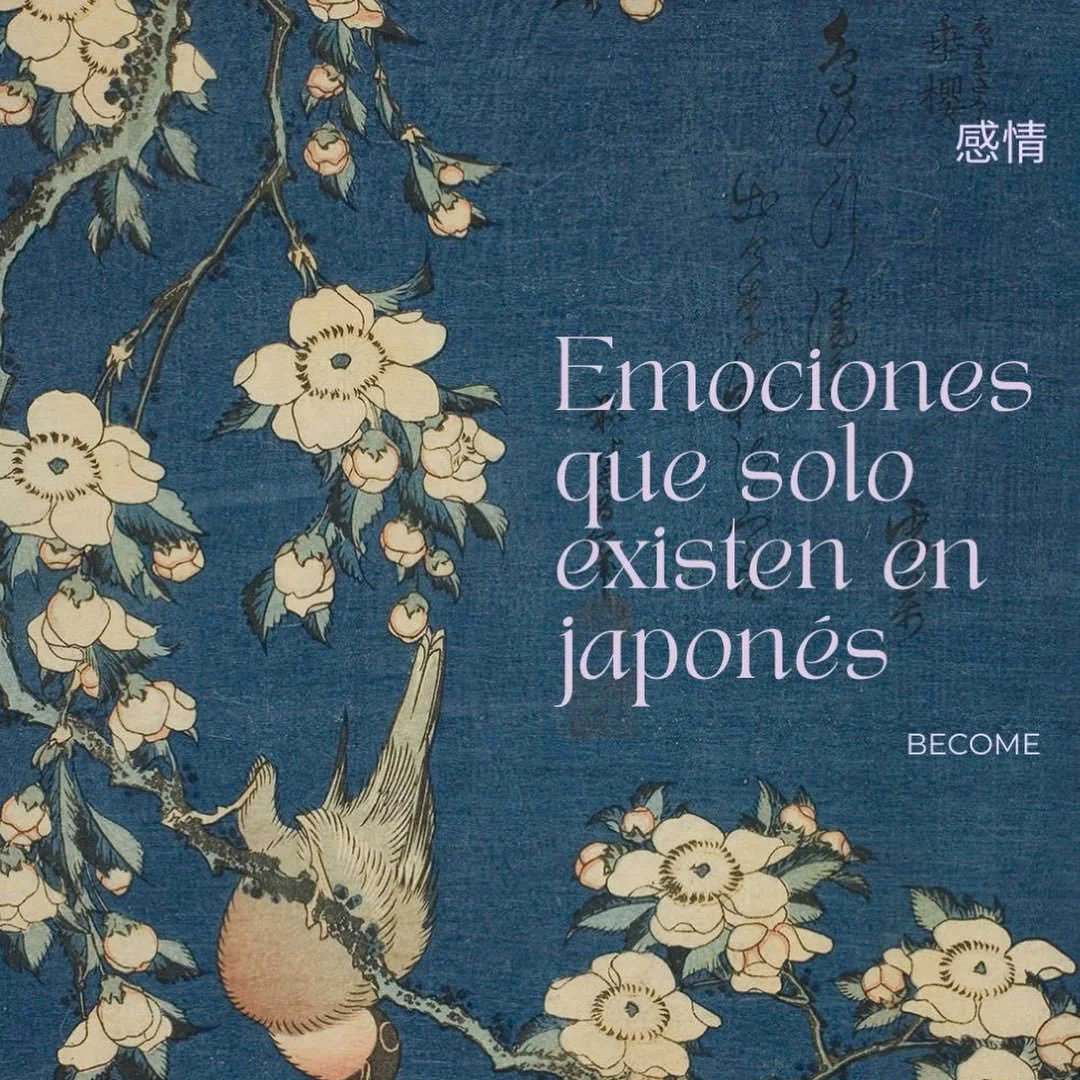 Sentimos m&aacute;s de lo que podemos nombrar.
M&aacute;s de lo que nuestra cultura aprendi&oacute; a decir.

Nuestro lenguaje es poderoso y, al mismo tiempo, limitado.

En Oriente, a diferencia de Occidente, existen palabras para matices casi invisi