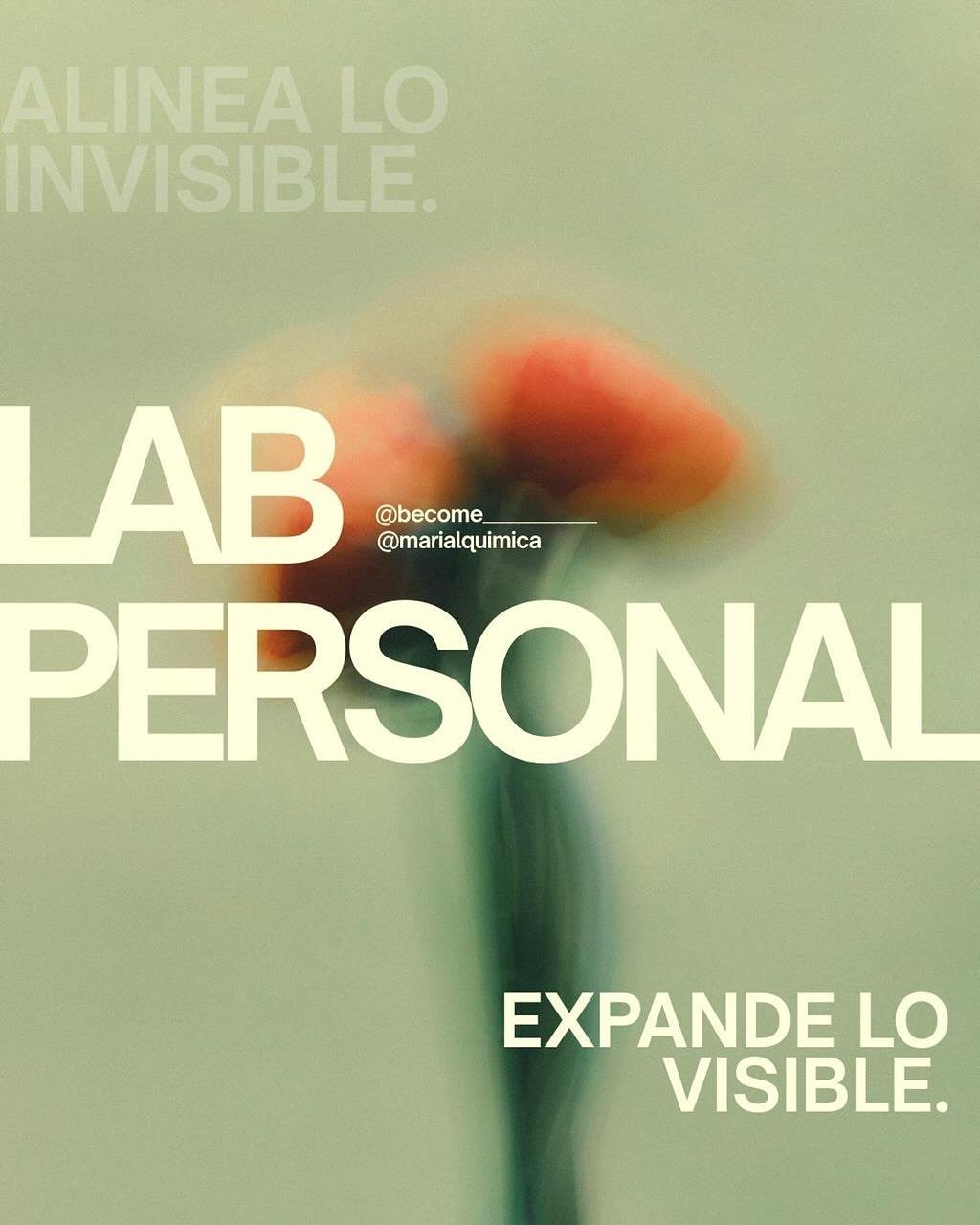 Durante a&ntilde;os hemos dise&ntilde;ado espacios de transformaci&oacute;n, estrategia y claridad para marcas, equipos y l&iacute;deres.

Hoy, por primera vez, con mucha emoci&oacute;n abrimos este laboratorio para las personas, un espacio cuidadosa