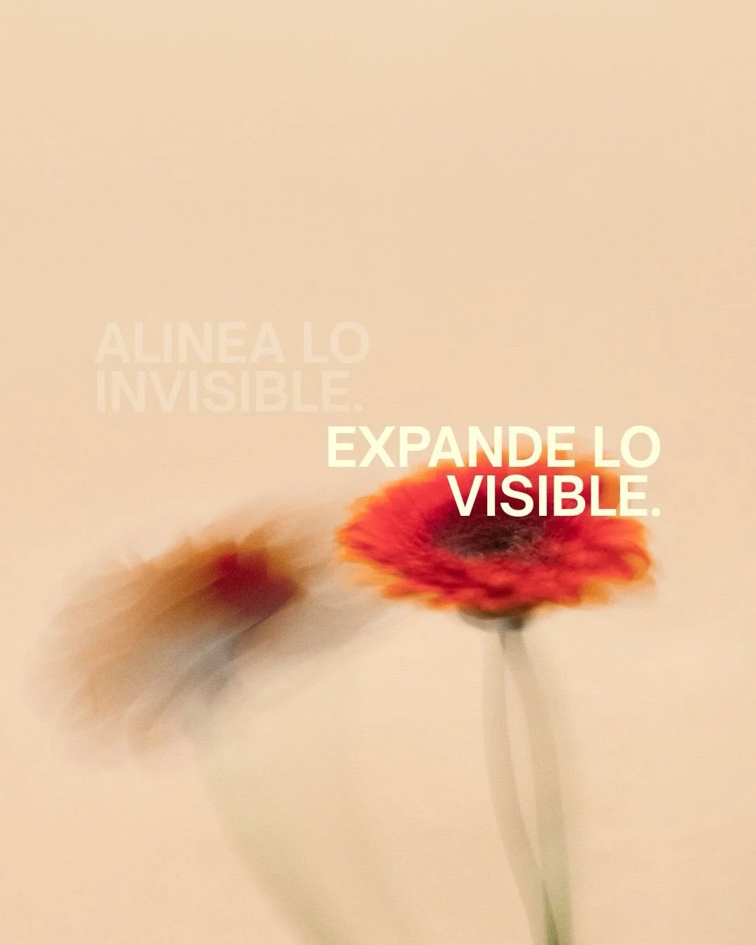 Por naturaleza los seres humanos somos buscadores&hellip; Buscamos afuera lo que en realidad necesita ser descubierto adentro. 
🪻LAB PERSONAL🪻 nace como una invitaci&oacute;n a verte, detenerte, ordenar tu mundo interno, mirarte con m&aacute;s aten